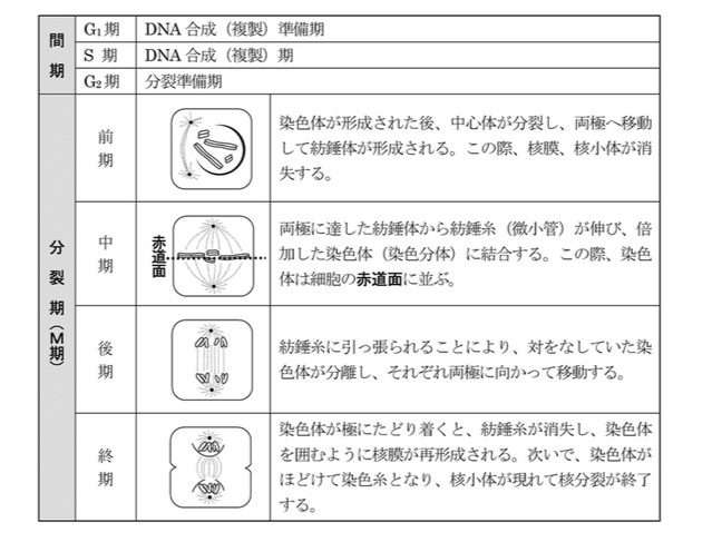 解説画像
